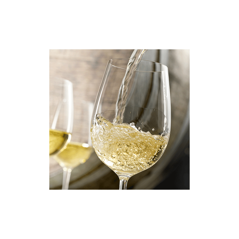Vino Bianco Frizzante (1L)